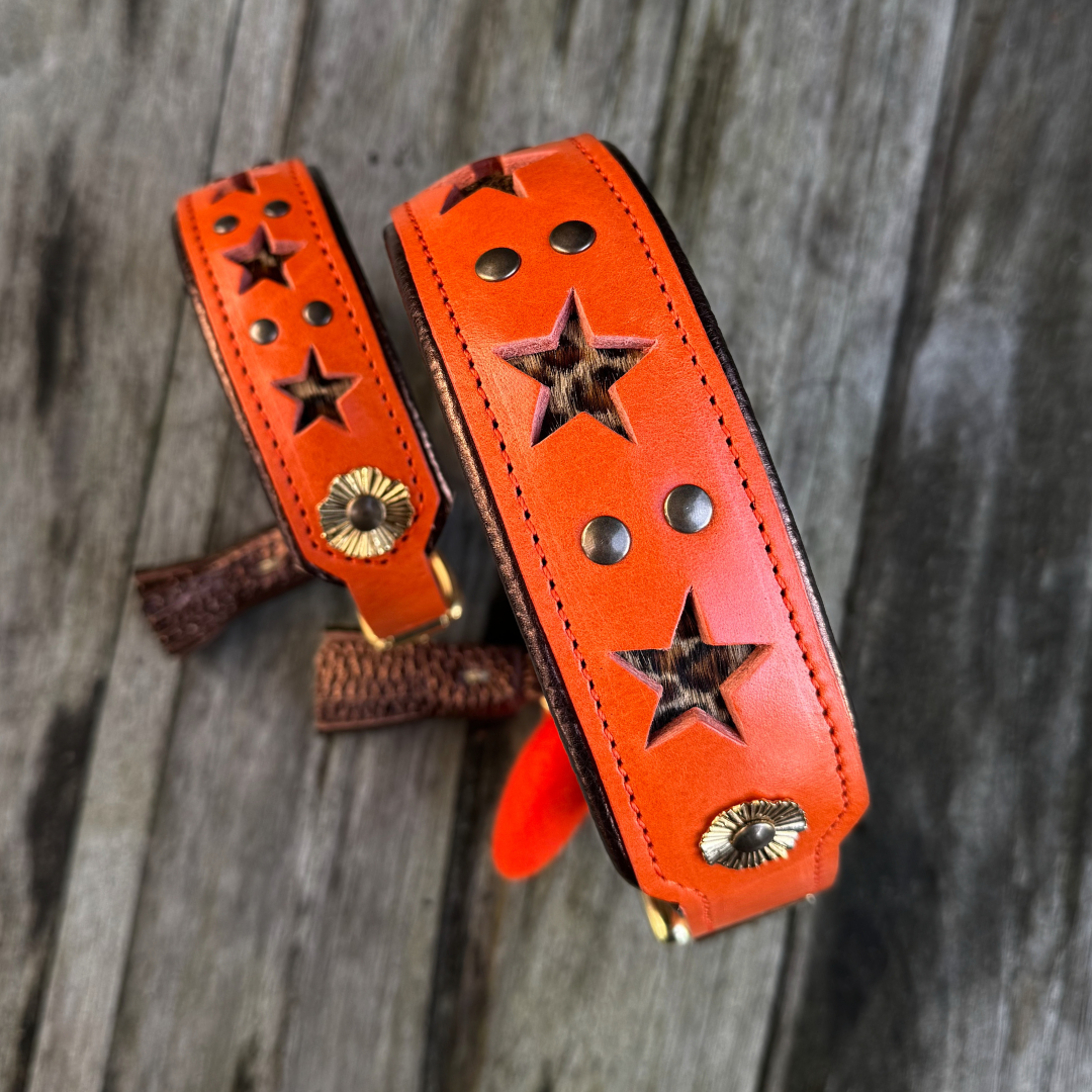 Halsband - Stargazing Orange