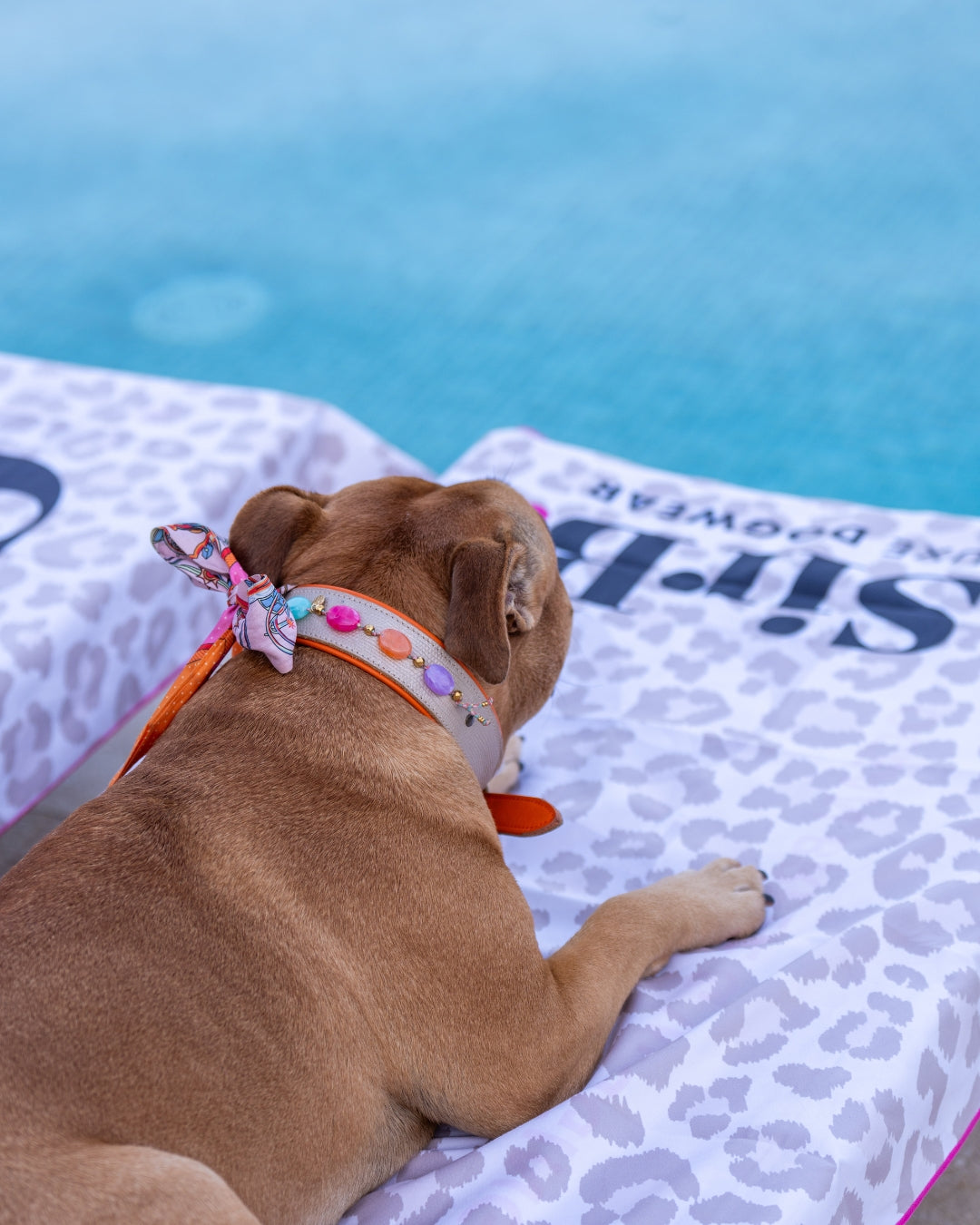 Sir B.each Towel | Pre-order