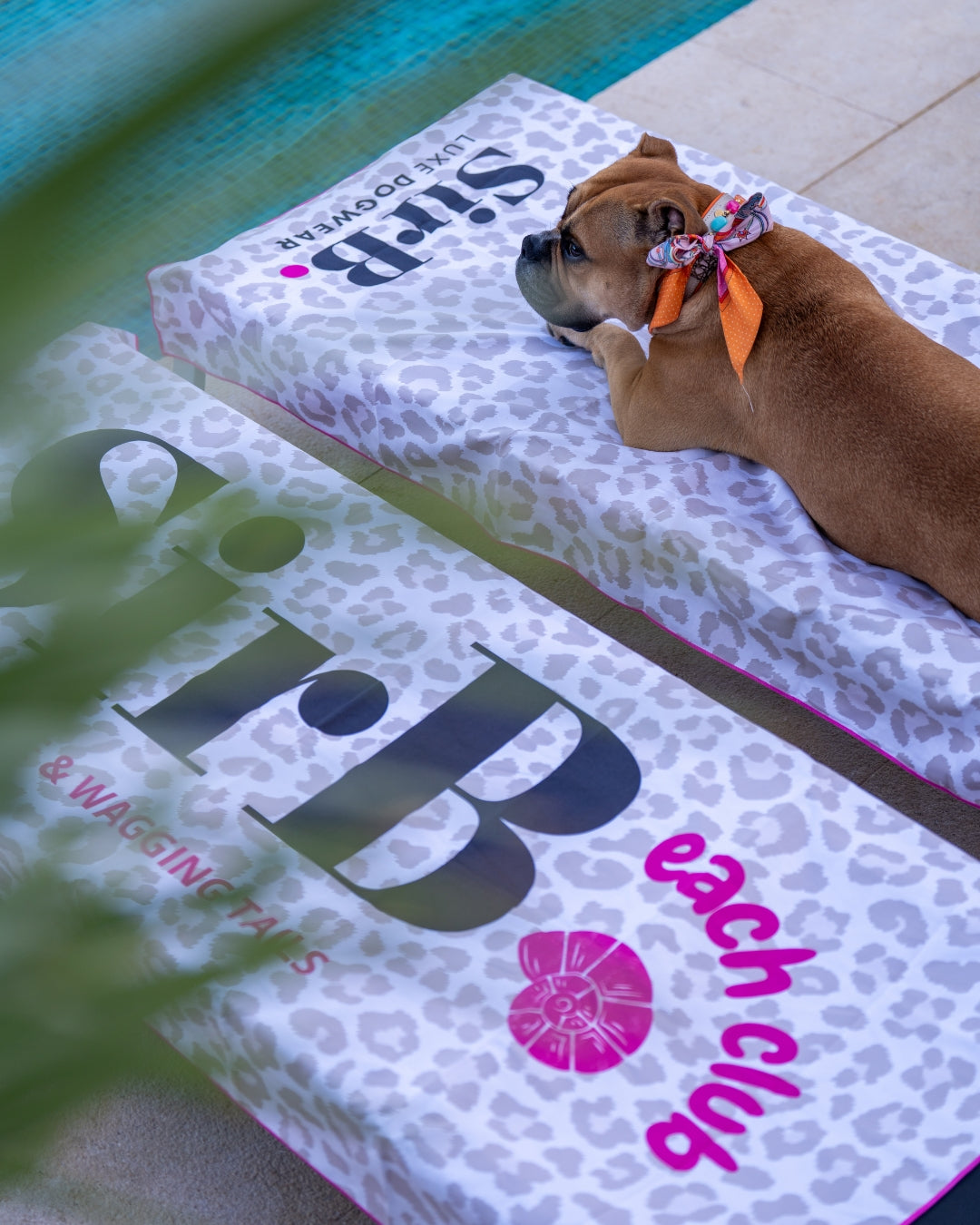 Sir B.each Towel | Pre-order