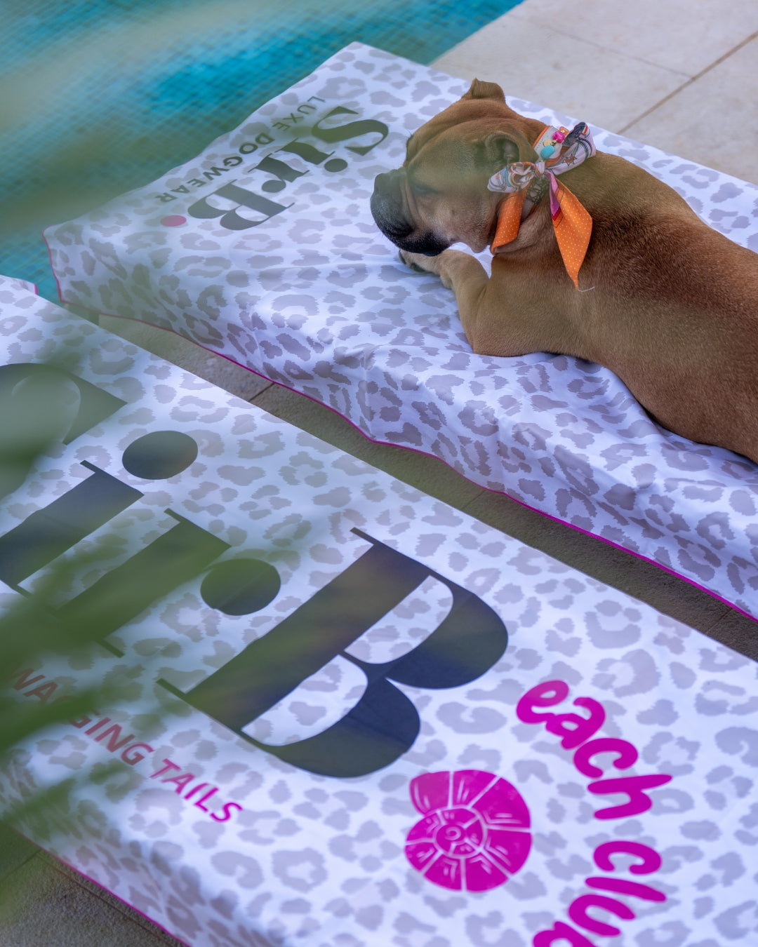 Sir B.each Towel | Pre-order