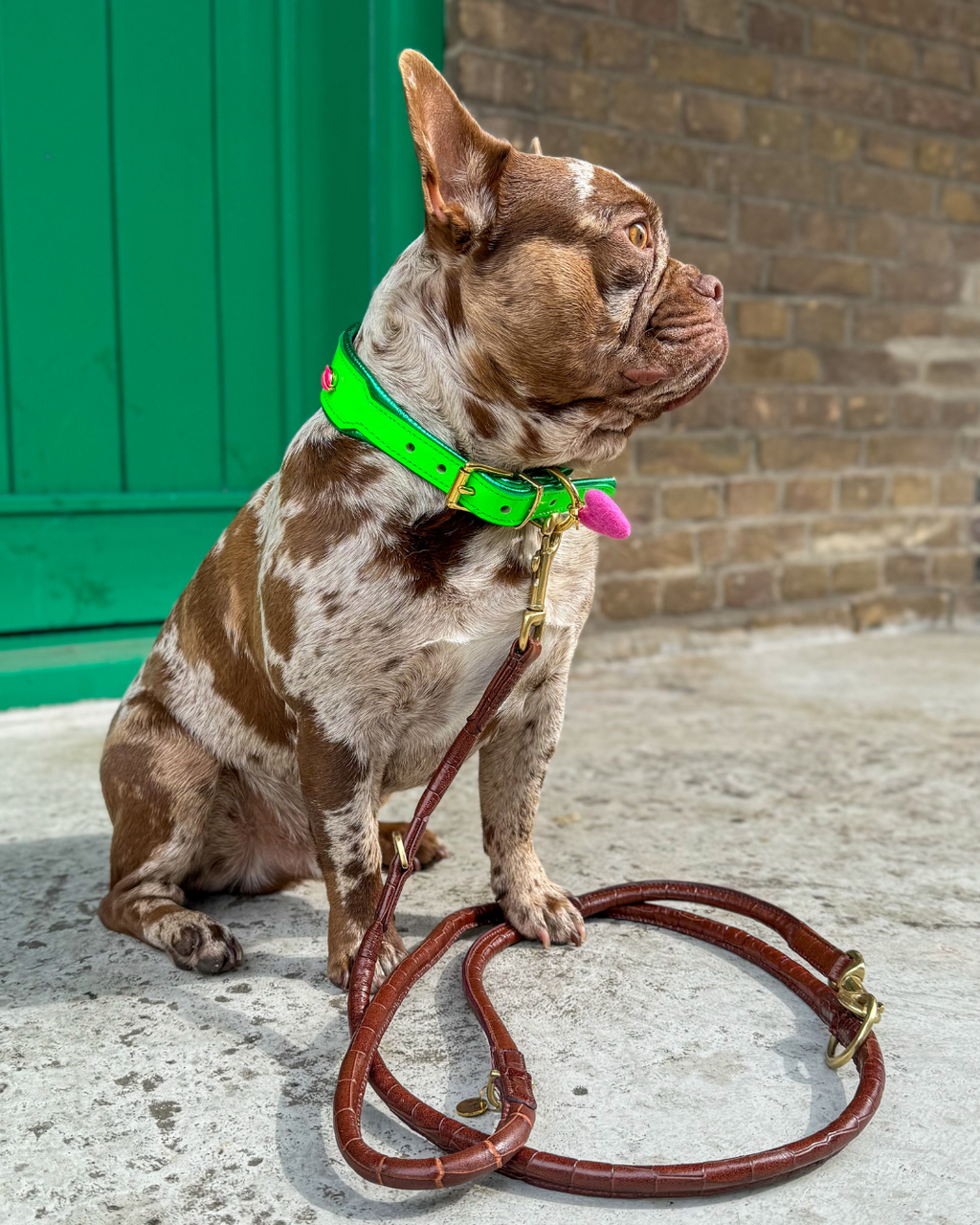 Leather Leash - Croco Brown