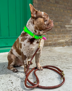 Leather Leash - Croco Brown