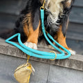 Leather Leash - Blue