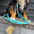 Leather Leash - Blue