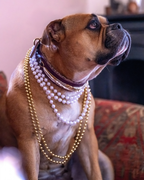 Halsband - Drowning in Pearls