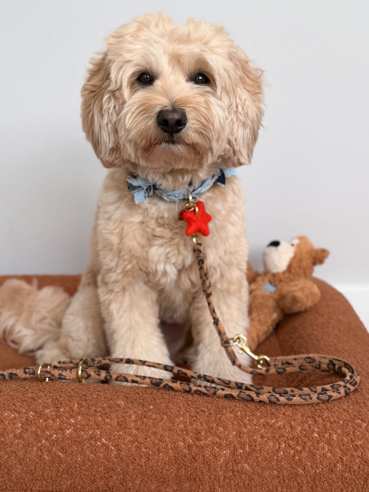 Halsband - Dutchie in Denim