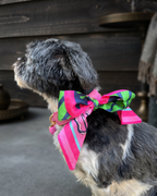 Bandana - Bold in Green and Pink