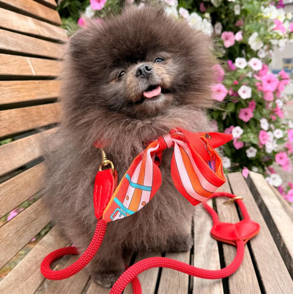 Bandana - Red, Pink and Orange