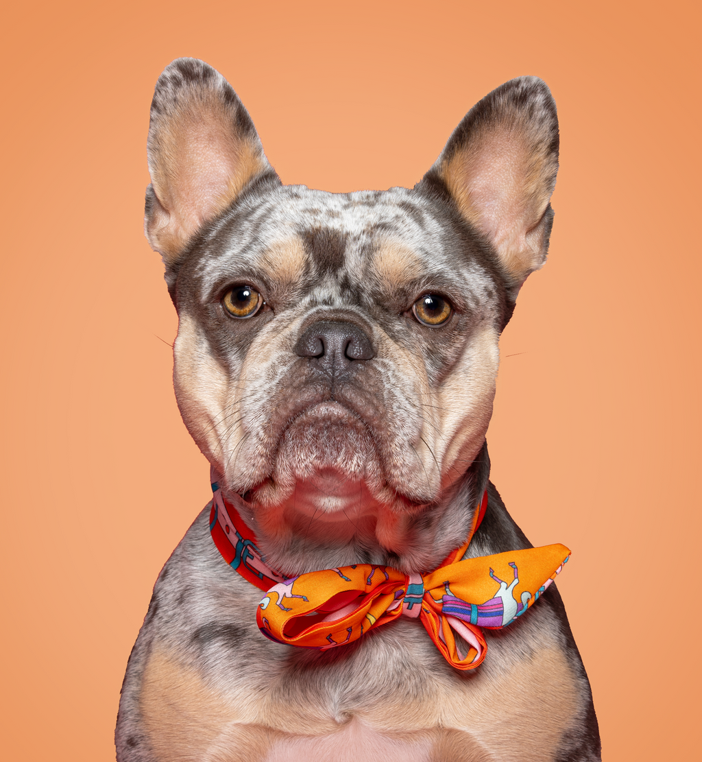 Bandana - Red, Pink and Orange