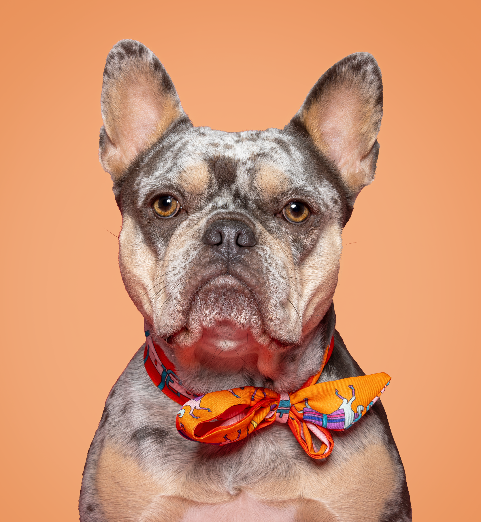 Bandana - Red, Pink and Orange