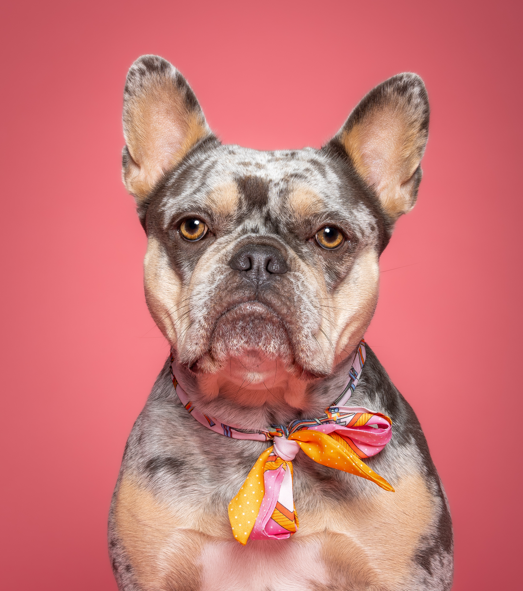Bandana - Pink and Orange