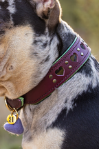 Halsband - My Valentine Burgundy Brutt
