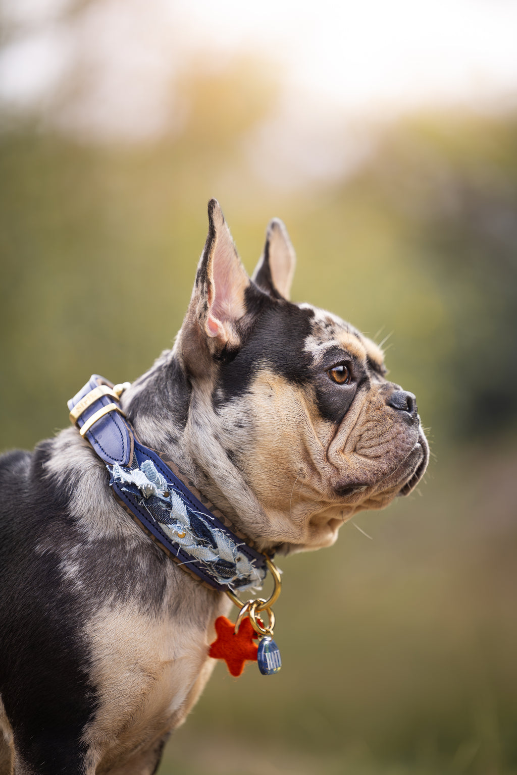 Halsband - Dutchie in Denim
