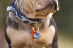 Halsband - Dutchie in Denim