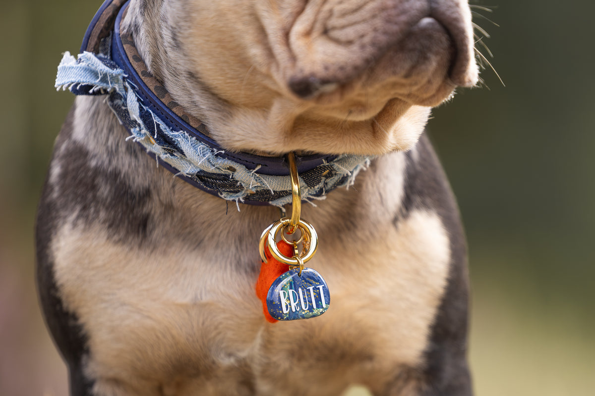Halsband - Dutchie in Denim
