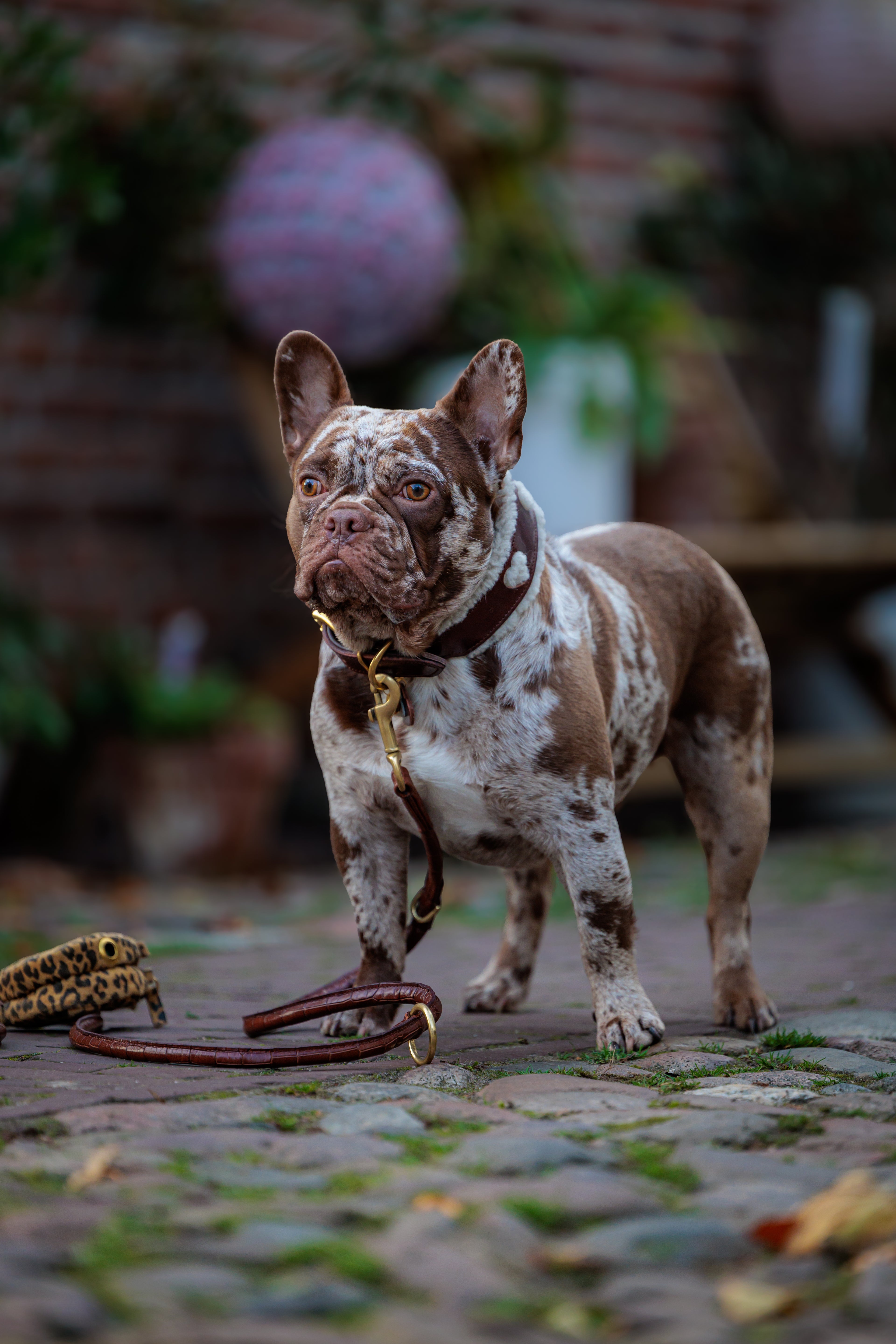 Leather Leash - Croco Brown
