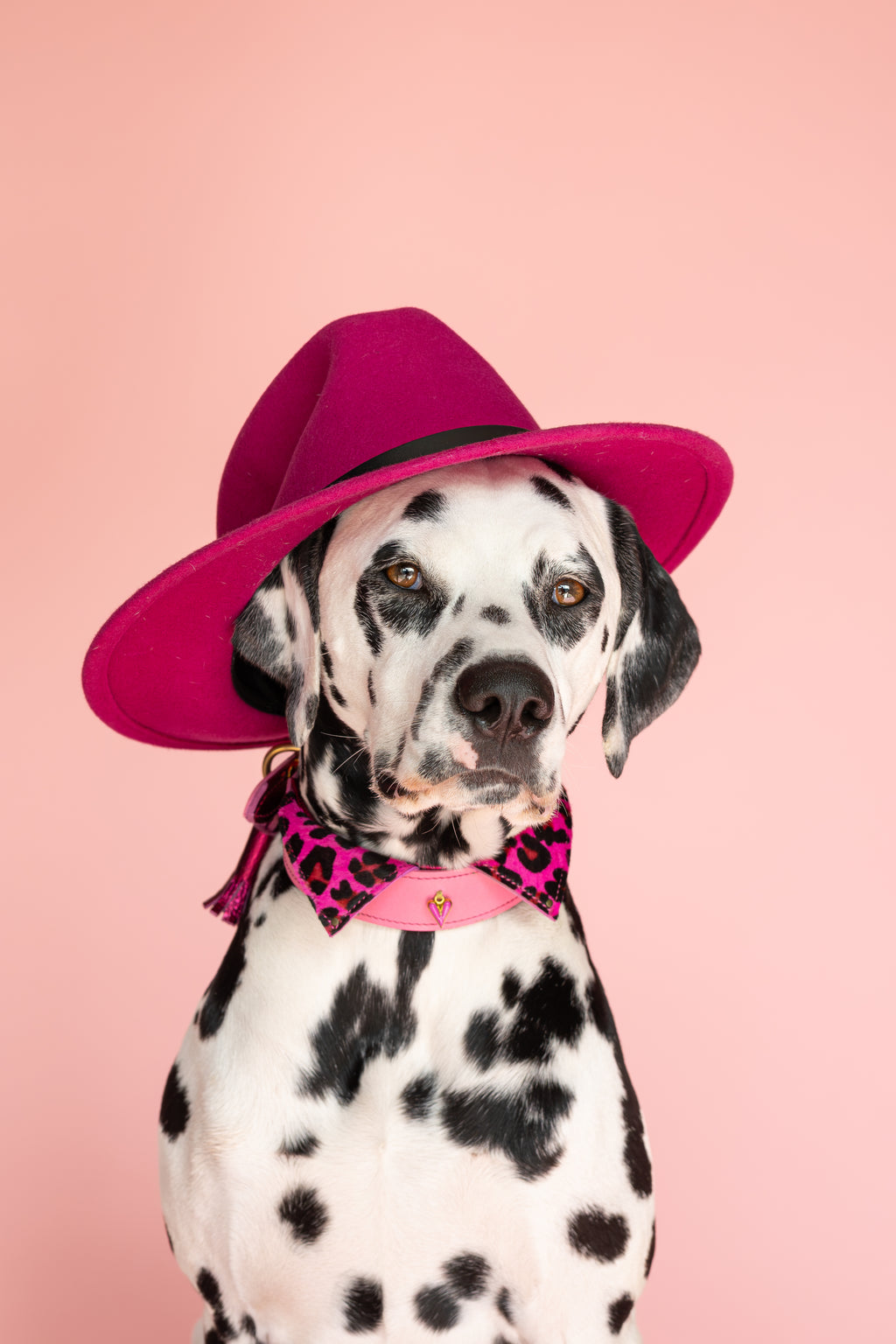 Halsband - Pink Panther Tie