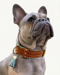 Halsband - Classy Cognac
