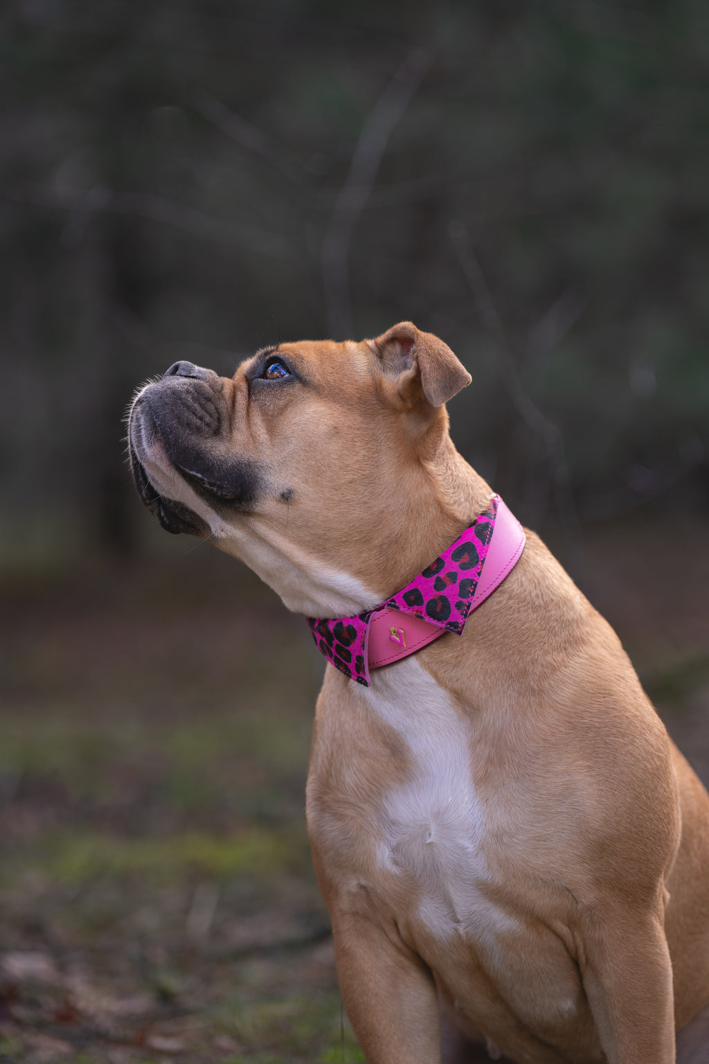 Halsband - Pink Panther Tie