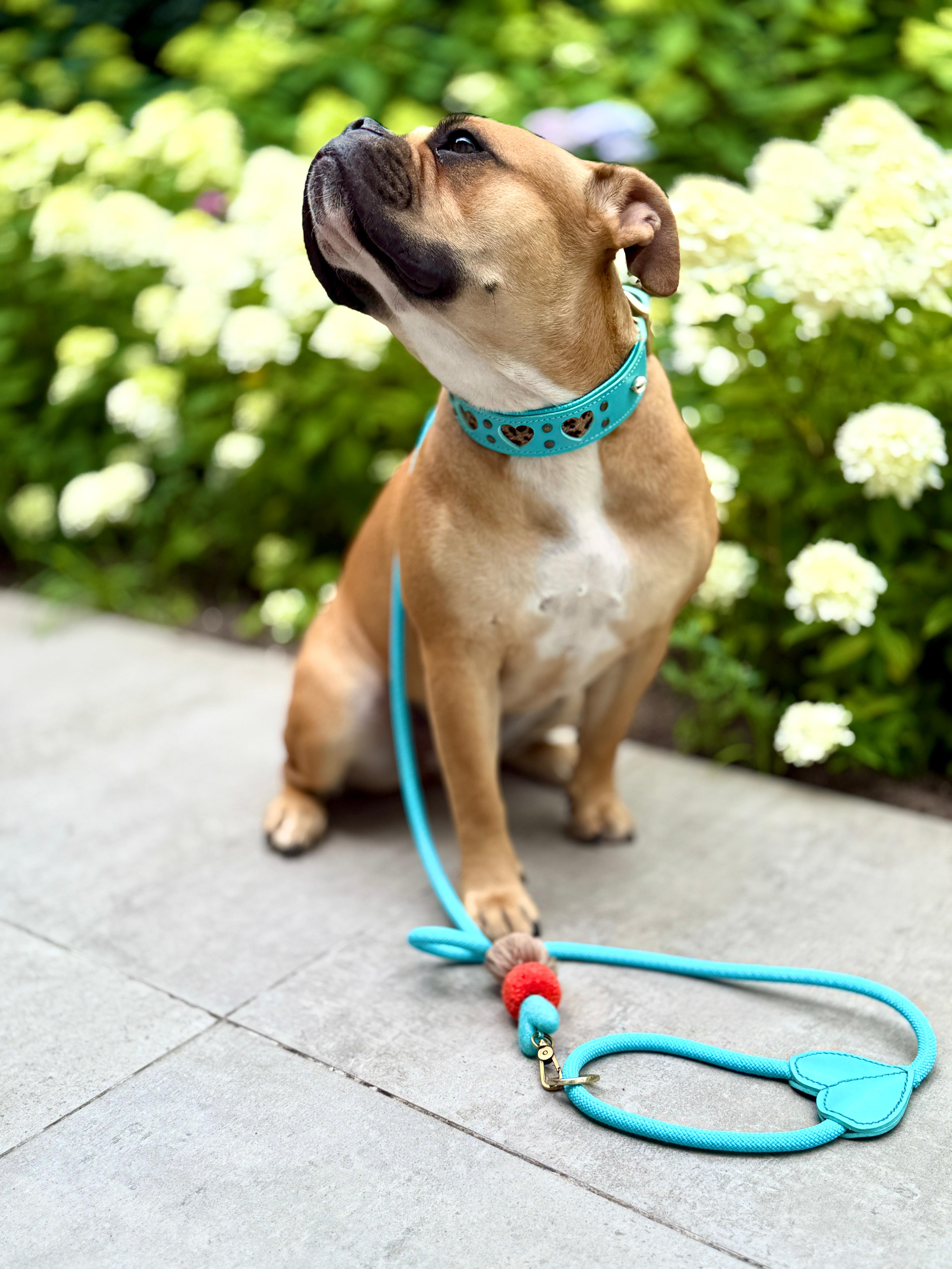 Heartbeat Leash - Blue 150cm