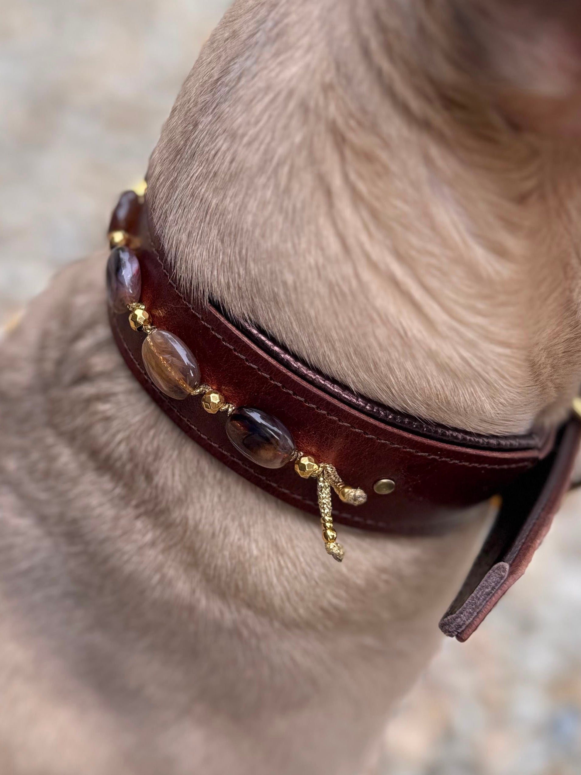 Halsband - Daydream Brown