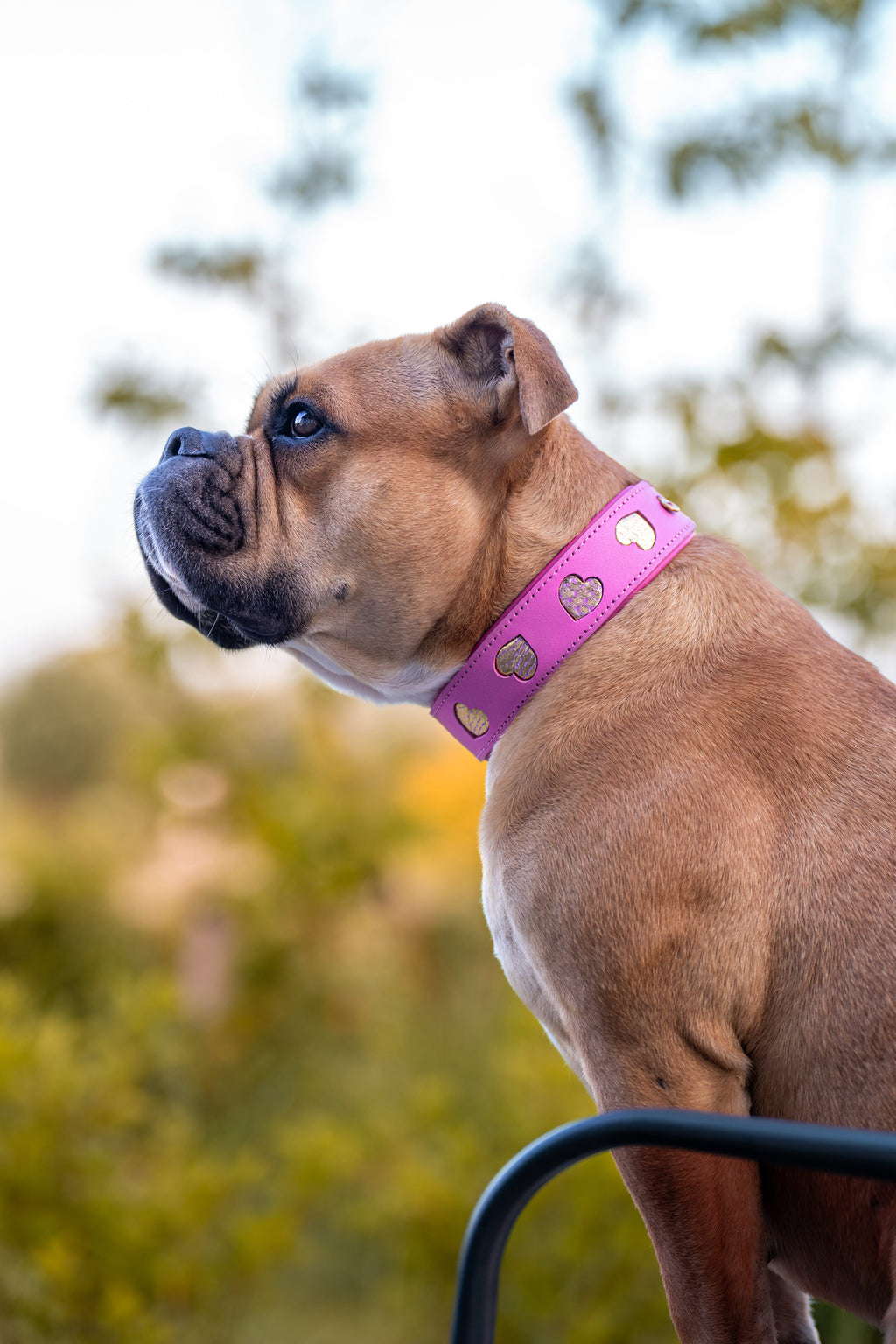 Halsband - Love rules Pink