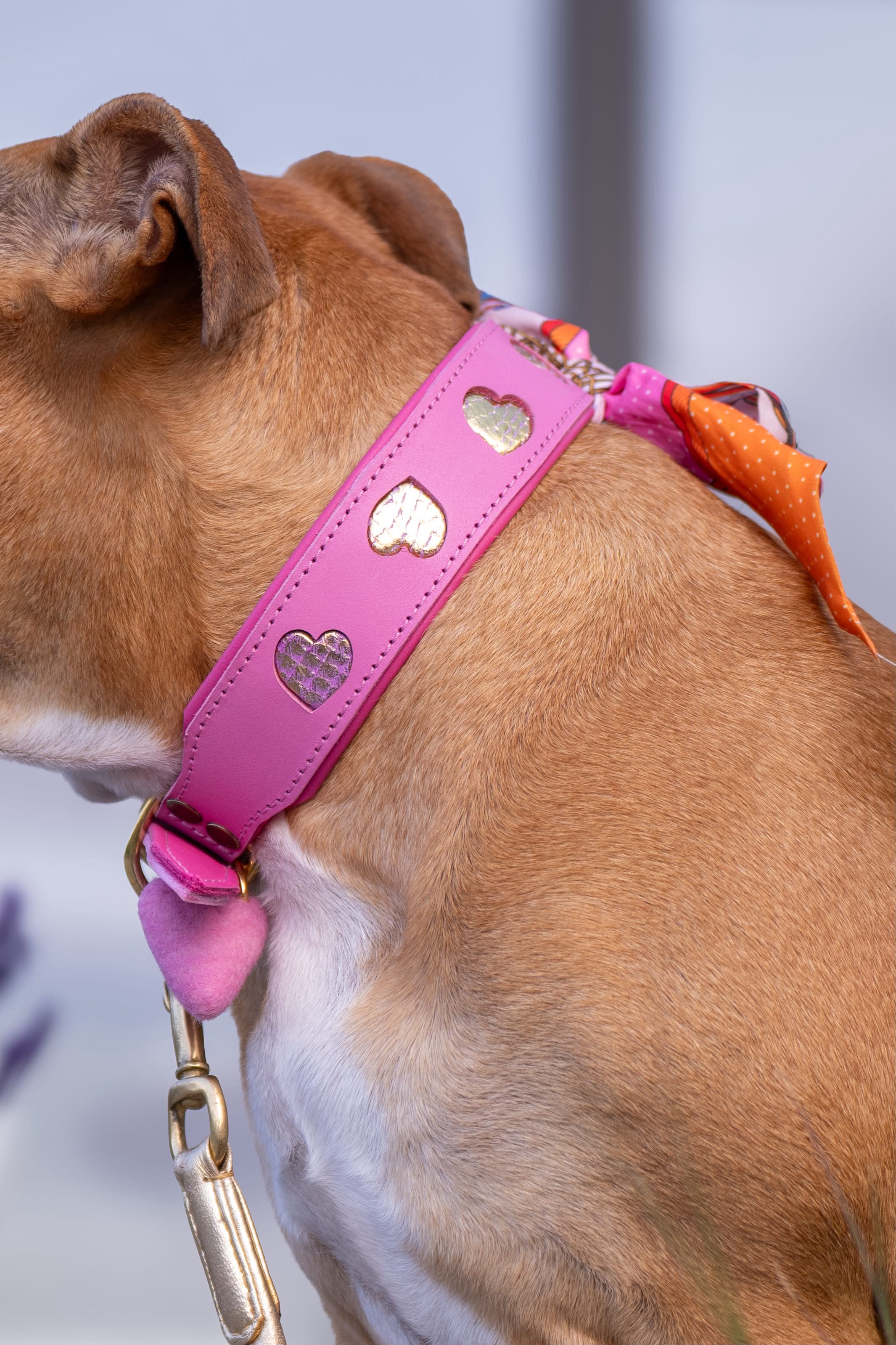 Halsband - Love rules Pink
