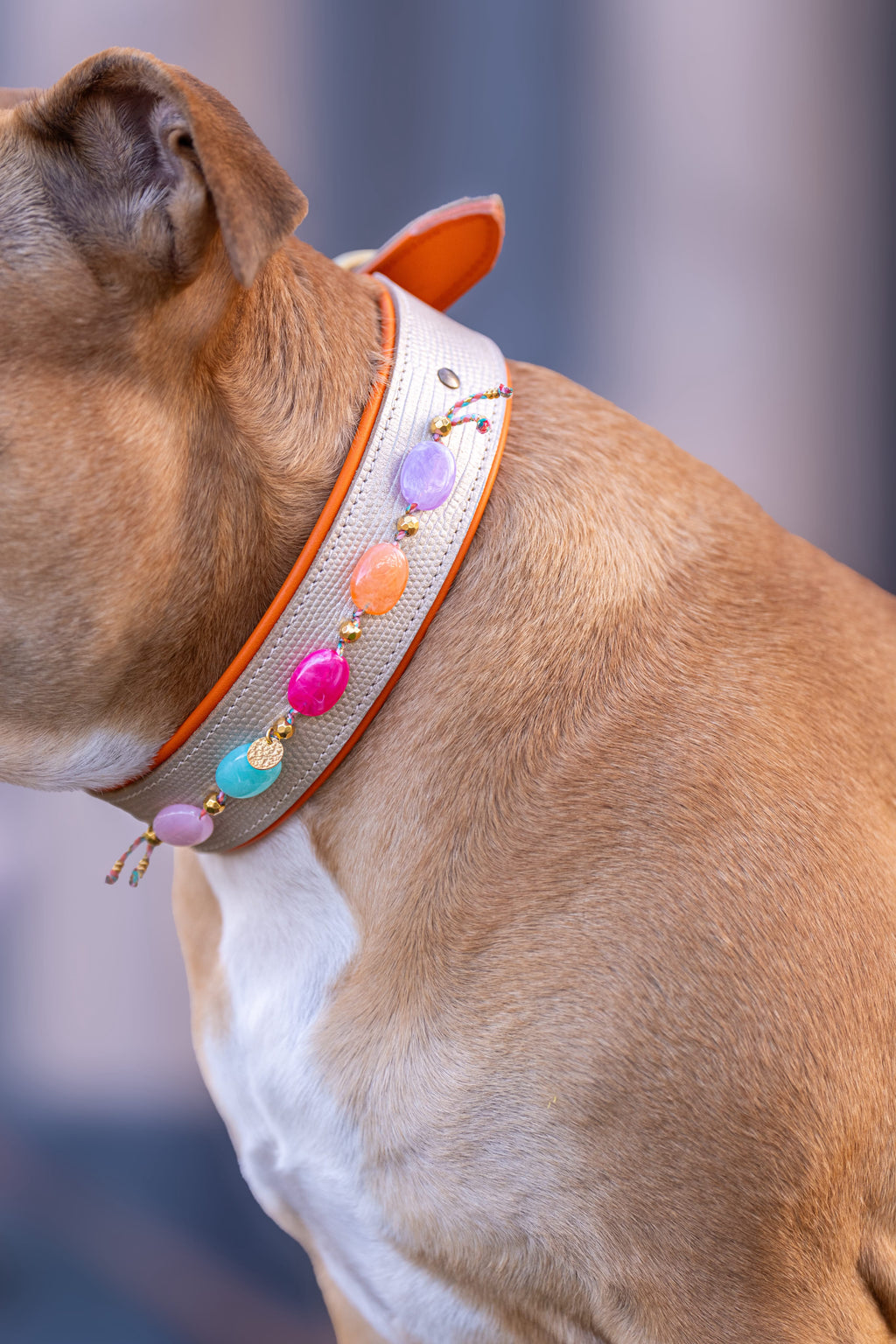 Halsband - Daydream Boho Gold