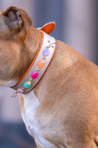 Halsband - Daydream Boho Gold