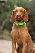 Halsband - My Valentine Grand in Green
