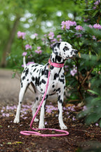 Leather Leash - Pink