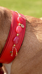 Halsband - Daydream Red